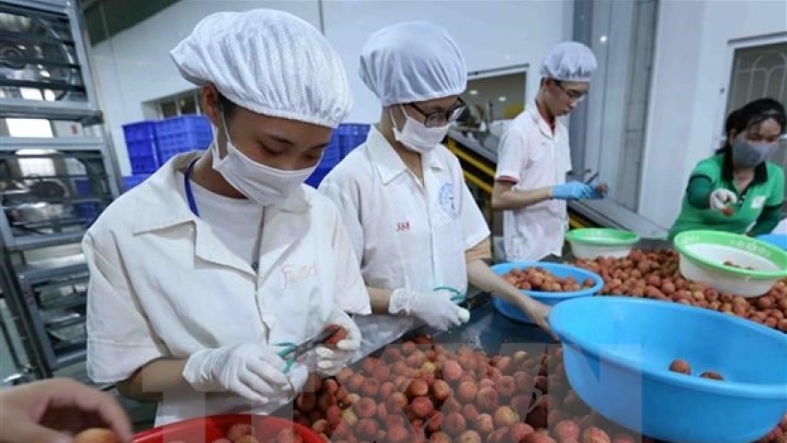 Austria a promising market for Vietnamese fruits: Experts